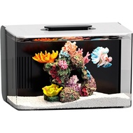 Betta Fish Tank Small Aquarium With 3 Stage Filtration, Light, Self Cleaning, 2.5 Gallon Beta Tank S