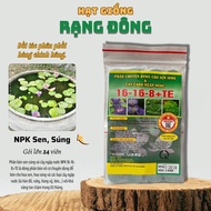 Specialized Fertilizer for Lotus and Water Lily (pack of 24 tablets) NPK 16-16-8+TE for submerged pl