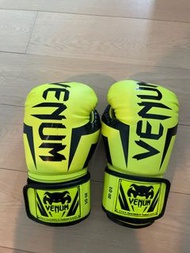 Venum Boxing Gloves 拳套 10oz