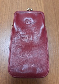 IL BISONTE