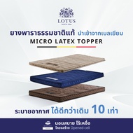 [ถูกที่สุด] LOTUS ที่นอนยางพารา 100% ออกแบบเพื่อบรรเทาอาการปวดหลัง ลดแรงกดทับ นำเข้าจากประเทศ Belgiu