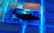 HFSECURITY Whale Resin Keycaps for Cherry Mx Switch Mechanical Keyboard Backlight Spacebar ESC Shift