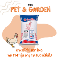 อาหารไก่ไข่ 19week+ แบบเม็ด สตาร์ฟีด กข114 แบ่งขาย 1 กก.