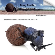 Educational Beetle Dung Beetle Toy