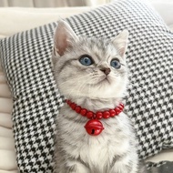 Cat Collar Cat Bell Cat Collar High Quality Cat Collar Cute Pet Collar Influencer Cat Collar Cat Bow