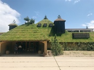 客製｜名古屋關西雙城遊.近江和牛.萬博1日.金閣寺~迷你小團七日【專屬包車】天天出發※不含機票