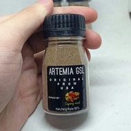 Artemia GSL Original USA 30gram - Artemia Culture