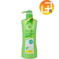 Ginvera Green Tea Pomelo Shampoo Pink Scalpcare 750g