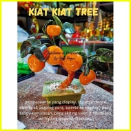 【hot sale】 kiat kiat tree by Apple Paguio