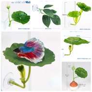 Douyu Resting Leaves, Propagation Leaves, Hiding Leaves, Double-Layer Aquarium Decorative Leaves, Re