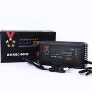 Ebike Charger 48v 60v 12ah 20ah Smart Intelegent Intelligent Battery Charger for e trike e bike