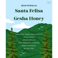 Guatemala Santa Felisa Gesha Honey Raw Coffee Beans