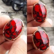MERAH TOP HQ CICIN RED PIRUS CICIN
