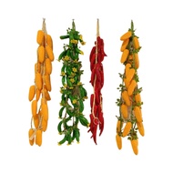 ☘️ readystock ☘️ decorative restaurant display fake food photography prop fake food prop Simulation 