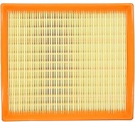 AF3618 Engine Air Filter Compatible with BMW F30 F32 228i, 228i xDrive, 320i, 320i xDrive, 328d, 328