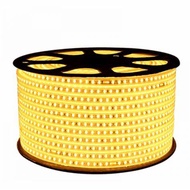 LED STRIP LIGHTS SMD 5050 100M 220v 100 M METER OUTDOOR DECORATION - SMD5050/100M,