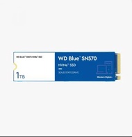 Western Digital Blue M.2 SN570 1TB (WDS100T3B0C)