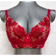 36D/80D QIANYAN PLUS SIZE BRA - WIRED 5 HOOKS