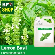 Pure Essential Oil (EO) - Basil - Lemon Basil ( Citriodorum Basil ) Pure Essential Oil - 5L