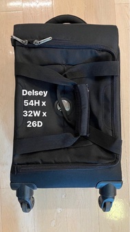 Delsey small suitcase 行李箱