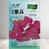 现货热卖四季食用紫苏种子紫苏籽种子香菜种紫苏盆栽阳台苏子粒种香菜籽种Perilla seeds for all four seasons, perilla seed seeds, cilantro20