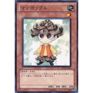 DP12 DP12-JP010 Matsubokkulu Yuma 1 Common DP12-JP010 0807040348007