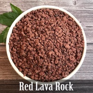 Red Volcanic Rock for Plants 1L Packaging Red Lava Rock For Potting Soil Succulents Pots Plants Outdoor Gardening Indoor Gardening