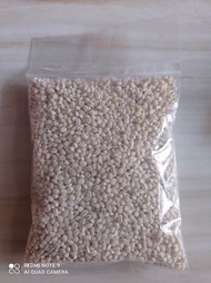 BARLEY / BIJI JALI JALI IMPORT 250grm
