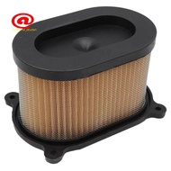 Air Filter Replacement For  GT250R GT650R GV650 GT650 GT250