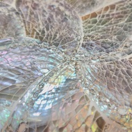 Abalone Shell Sheet Abalone Shell PanelPURE by Kharisma Batok Indonesia