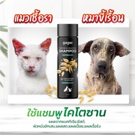 Gager แชมพูสูตรนาโนไคโตซาน สำหรับสุนัขและแมว รักษาเชื้อรา ผิวหนังอักเสบ ยีสต์ แก้คัน ฆ่าเชื้อ ขนาด 2