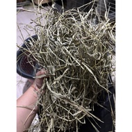 Premium soft Timothy Hay First Cut 提摩西一割草