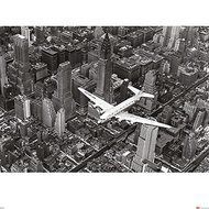 【Life生活雜誌】DC-4戰機 曼哈頓空景 60 x 80cm 攝影作品