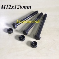 02 SETS - 12x120mm BLACK STEEL BULONG - BLACK BULON 8.8 (BULON + CANOPY)