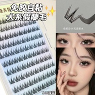 Glue-free 100 Cluster Dog Lashes~Lazy Little Milk Dog Comic Eyelashes False Eyelashes Supernatural N