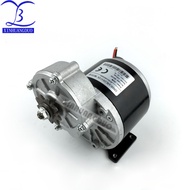 250w 12v 24v 36v Gear Motor Brush Motor Electric Tricycle Dc Gear Brushed Motor Electric Motor My101