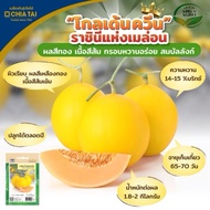 0.1g Biji Benih Melon Golden Queen F1 Hybrid / Melon Manis Golden / Cantaloupe Golden Seed / Cap Chi