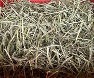 PREMIUM Timothy Hay/Rumput Jerami Potongan Pertama USA utk arnab/Special Edition Pink Bag First Cut/