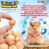 HAMSTERS CAT BALLS WOODEN BALLS TOY Furplo
