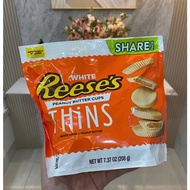 Reese's Peanut Butter Chocolate American zip bag