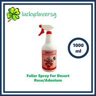 Adenium - Brilliant Golden Adenium Organic Soil, Andgro Foliar Spray For Desert Rose / Adenium