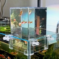 (VOONLINE) Upside down fish tank clamped into acrylic tank wall