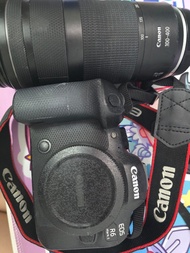 出租Canon R6 Mark II,RF 100-500,RF 100-400