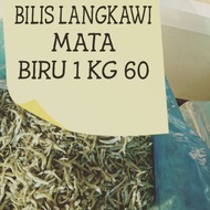 BILIS LANGKAWI - IKAN BILIS MATA BIRU