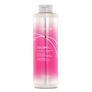 Joico 舟科  色彩防褪色潤絲 1000ml