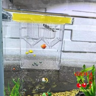 GIOVANNI Aquarium Fish Breeding Box, Acrylic Adjustable Floating Fish Breeding Box, Fish Isolation B