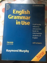 English Grammar In Use