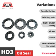 Oil Seal for Kawasaki HD3