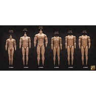 Authentic Original Design 23TOYS BD001-BD006 1/6 Male Body, Without Hands & Feet Figure