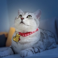 Pet collar - pet name tag - pet tag - dog and cat name tag with name engraved upon request